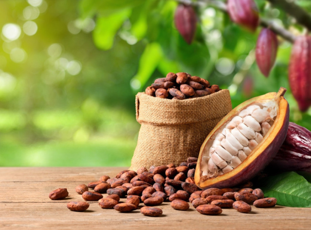 Kakao postao skuplji od bakra, prodaje se za više od 9.000 dolara po toni