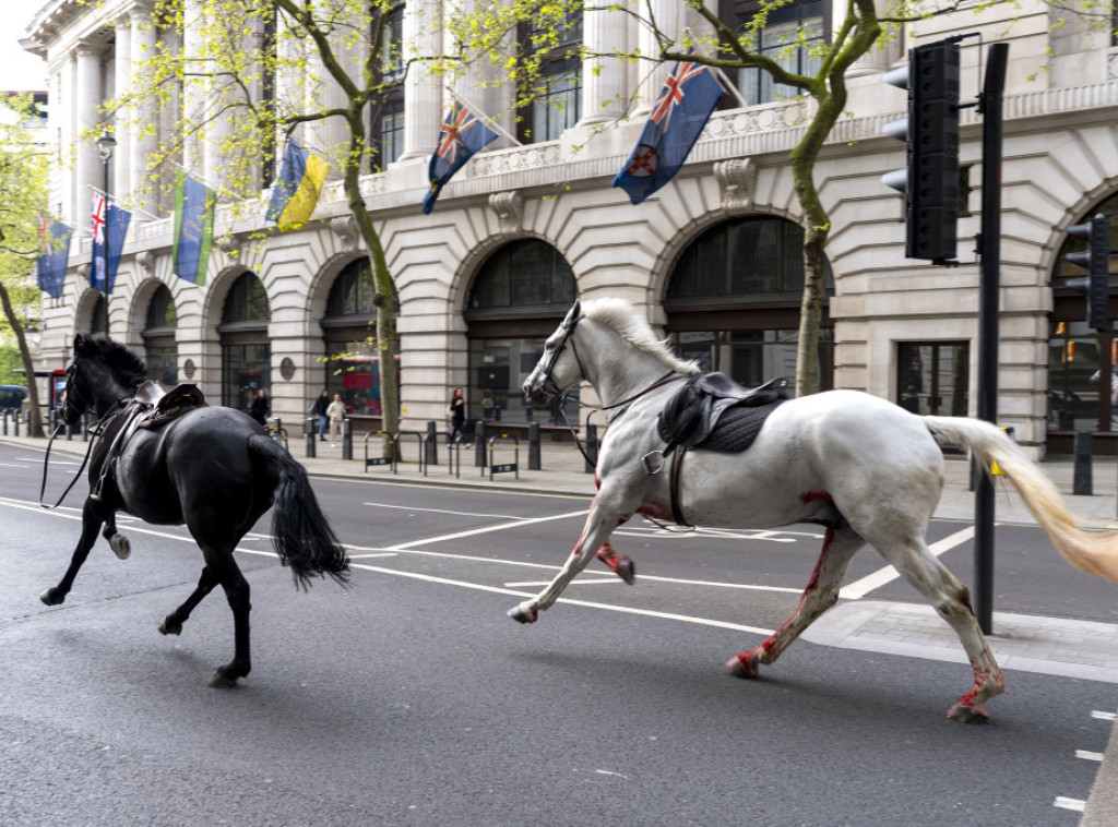 Konji britanske konjice uhvaćeni u centru Londona nakon što su pobegli sa vežbe
