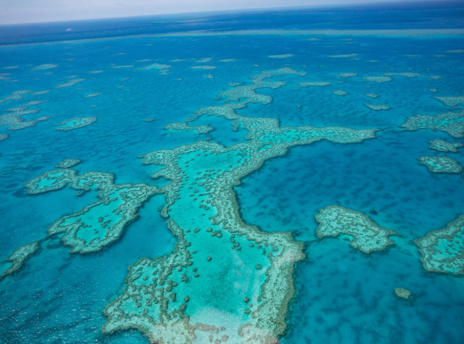 Veliki koralni greben u Australiji ugrožen, temperatura mora najviša za 400 godina