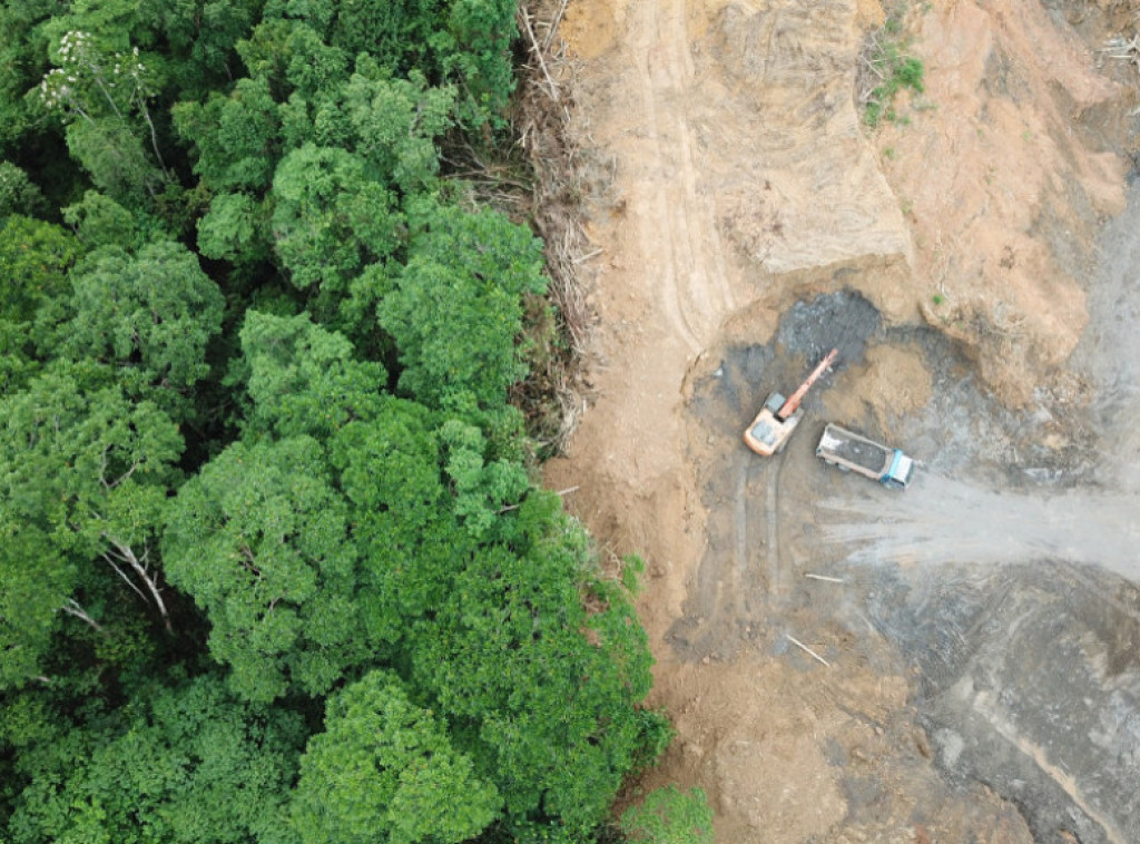 Brazil: Krčenje Amazonije za šest meseci smanjeno za 33,6 odsto međugodišnje