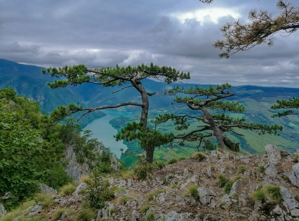 Penzioneri sa Savskog venca otputovali na besplatan dvodnevni izlet na Taru