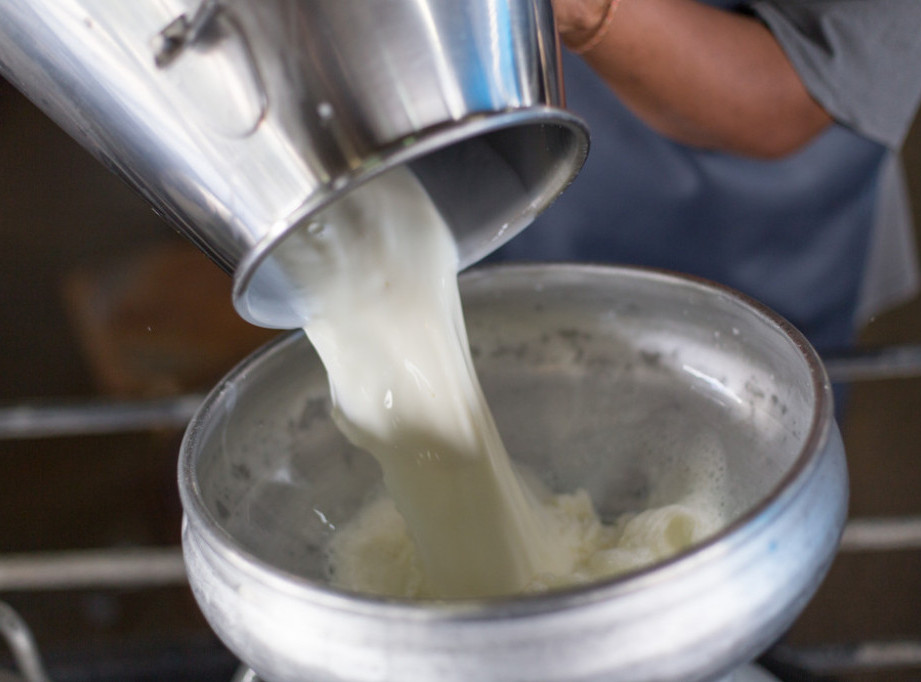 Proizvođači mleka: Izmene Zakona o podsticajima u poljoprivredi otvaraju mogućnost za još veće subvencije