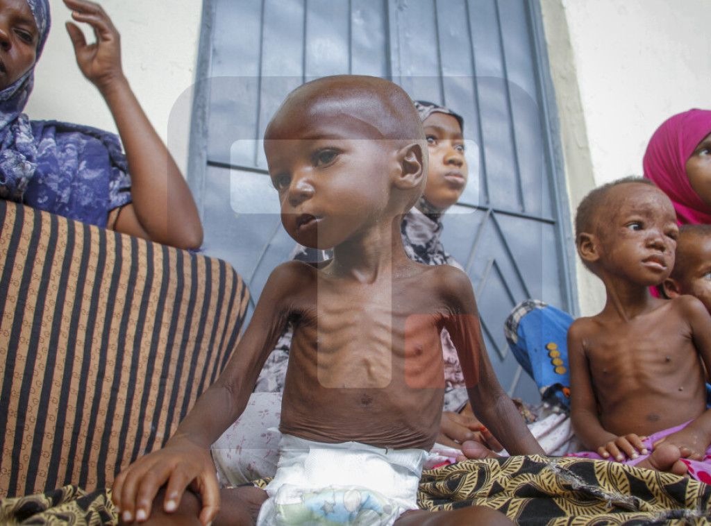 UN: Do sredine 2023. u Africi 48 miliona gladnih, najviše u Maliju, Burkini Faso i Nigeriji