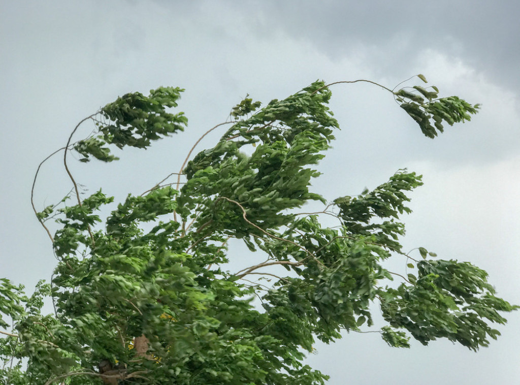 RHMZ upozorava na olujnu košavu, na snazi narandžasti meteo-alarm