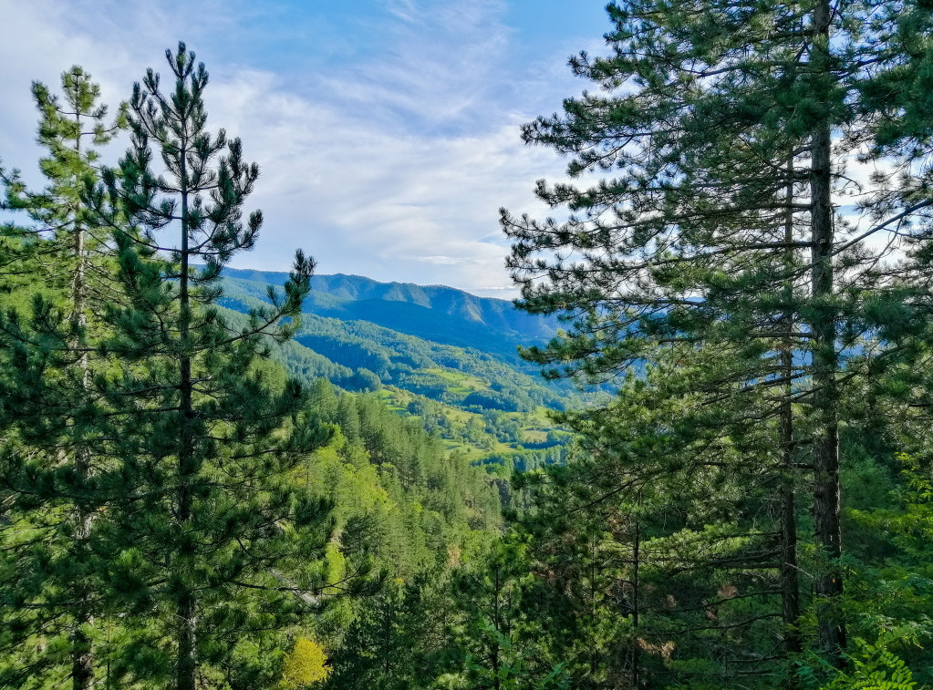 Počela naplata ulaza vozilima u Nacionalni park Tara, cene od 300 do 1.700 dinara