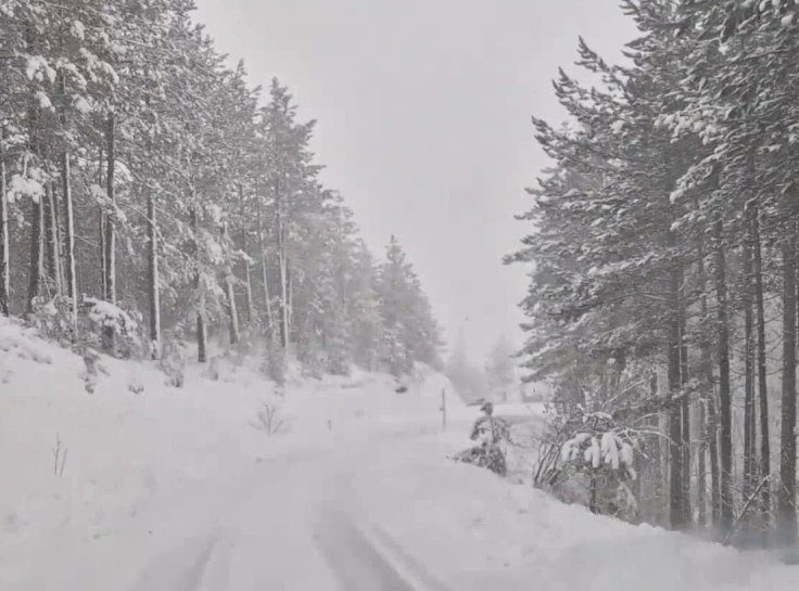 U Srbiji zbog snega na snazi narandžasti meteo-alarm