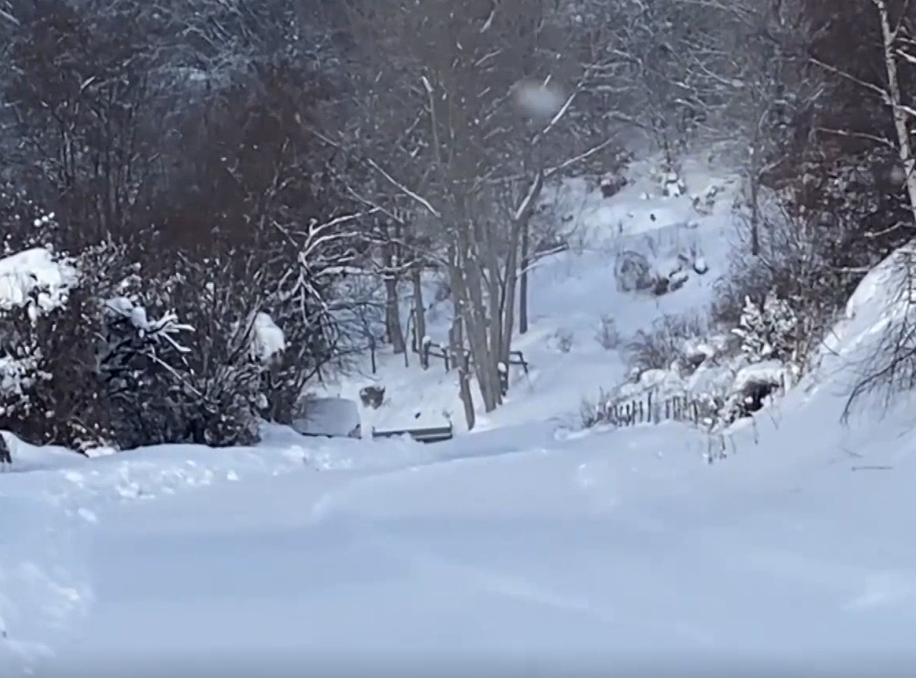 Na Staroj planini pao metar snega, saobraćaj ka Ski centru otežan