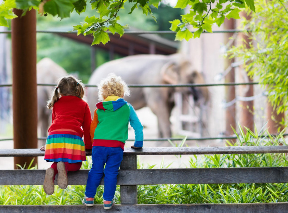 Slovenija: Inspekcija zabranila rad Zoološkom vrtu Rožman, nema važeću dozvolu