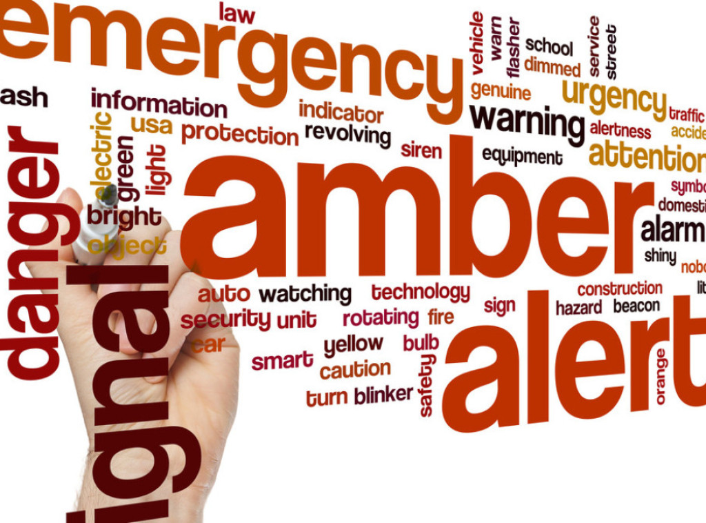 Vlada Srbije usvojila Zaključak da je Amber Alert od značaja za javni interes