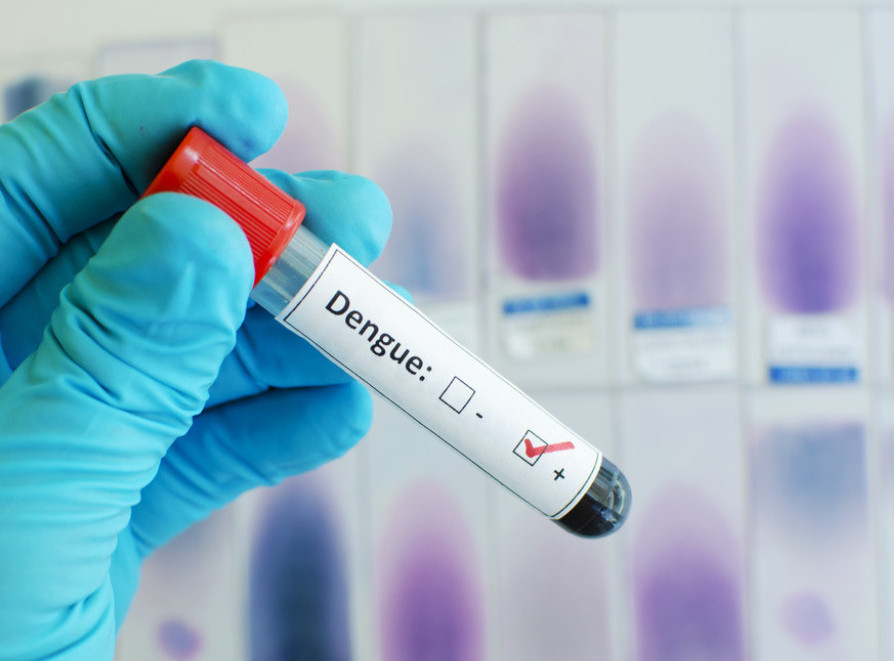 Zabeleženo povećanje broja obolelih od denga groznice u Evropi