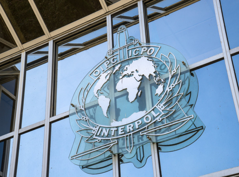 Interpol: Uhapšeno 37 osumnjičenih terorista u Africi u poslednja dva meseca