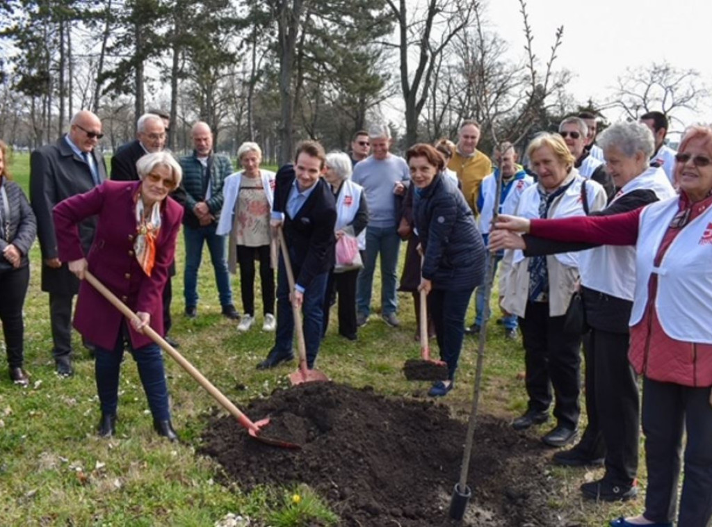 Stefan Krkobabić: Dren – simbol zdrave i prosperitetne Srbije!