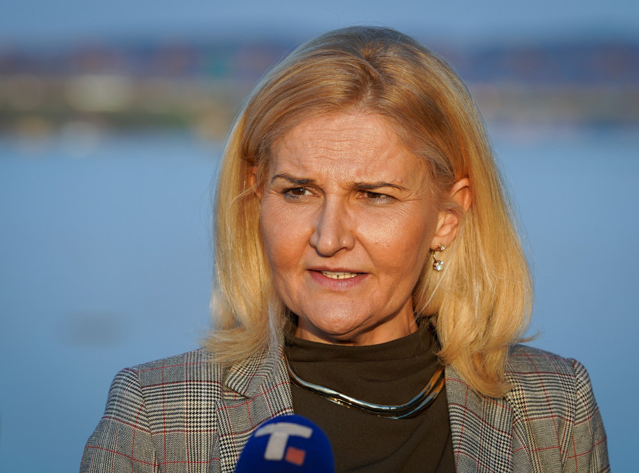 Miščević: Sporazumi o slobodi kretanja su deo berlinskog procesa
