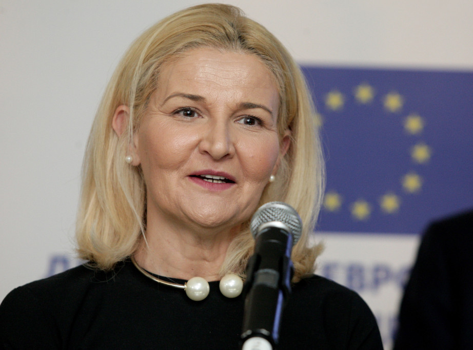 Miščević: Srbija se uči evropskim vrednostima i standardima od EU