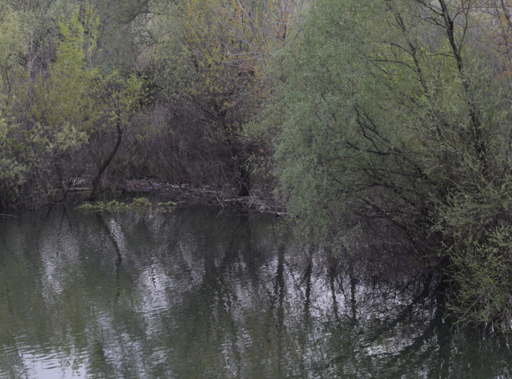 Na obali Dunava pronađeno telo muškarca, sumnja se da je jedan od nestalih mladića