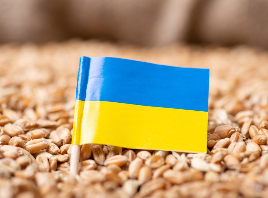 Moldavski poljoprivrednici zahtevaju ograničenje uvoza žitarica iz Ukrajine