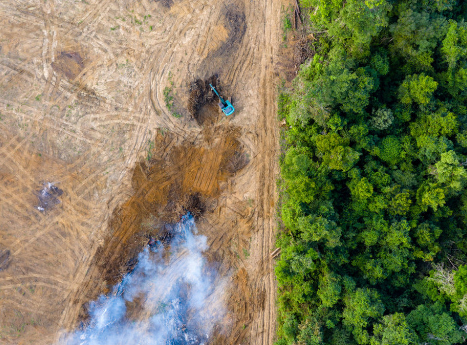 Izveštaj: Bogate zemlje guše klimatske proteste dok govore o pravima na drugim mestima