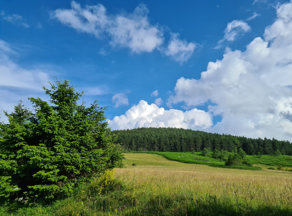 U Srbiji danas promenljivo oblačno, temperatura do 30 stepeni