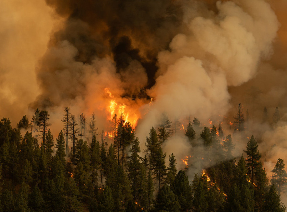 U dva regiona Rusije proglašena vanredna situacija zbog šumskih požara
