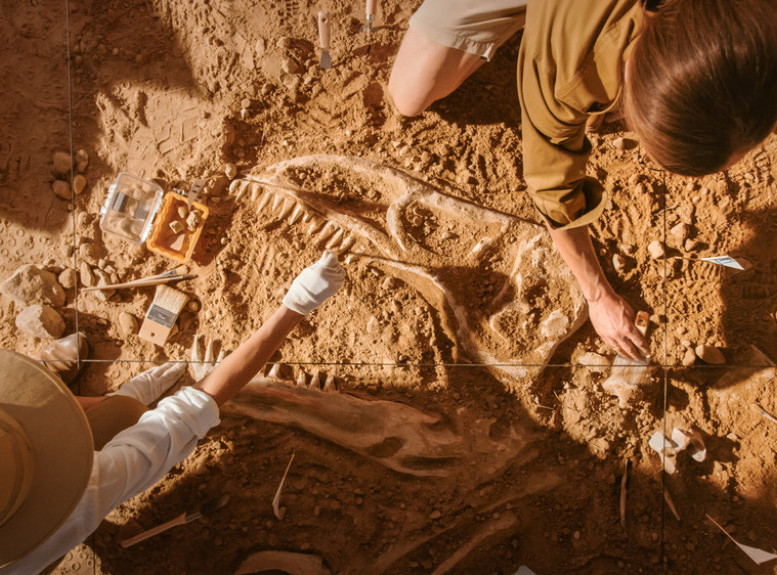 Naučnici otkrili fosile predatora koji je postojao pre dinosaurusa