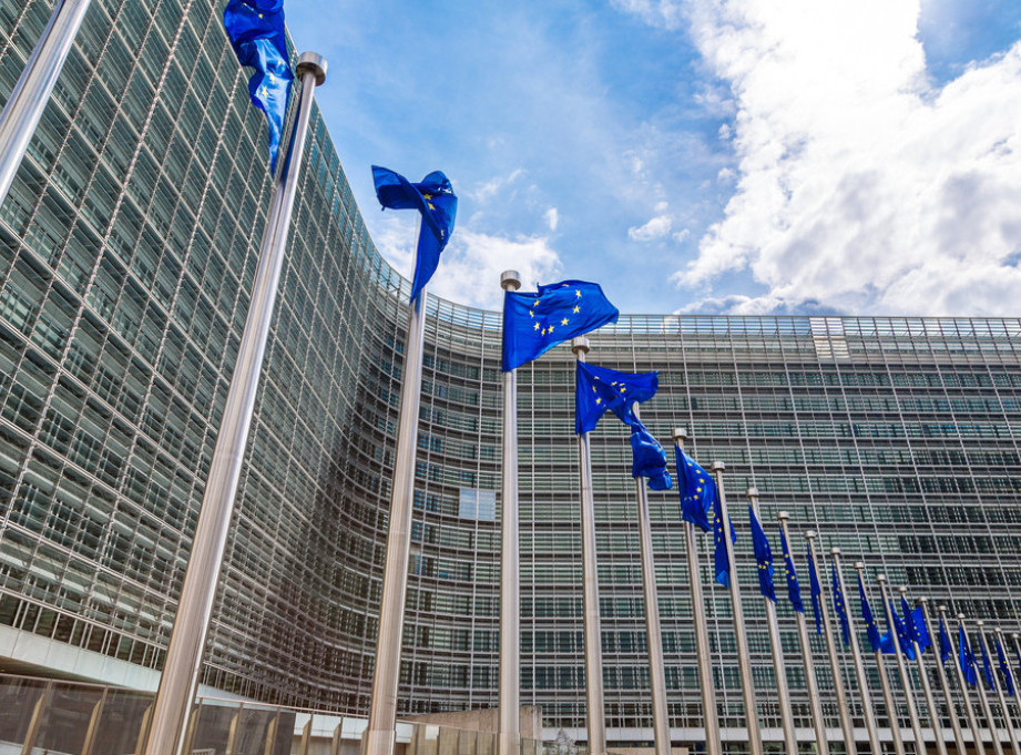Evropska komisija: Pravila za putovanje sa kućnim ljubimcima u EU