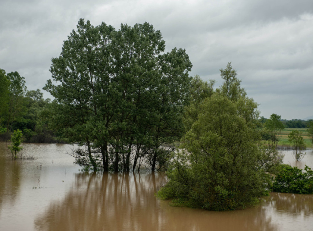 Vlada usvojila Odluku o proglašenju elementarne nepogode u 56 gradova i opština