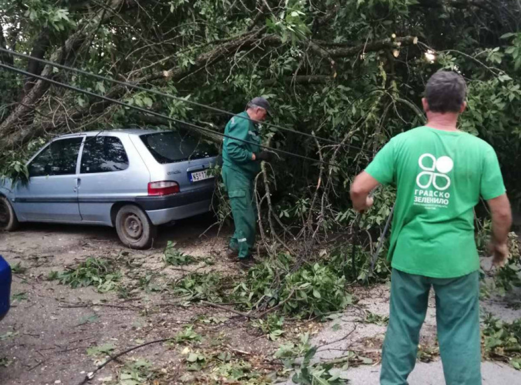 Ćelijska oluja u Novom Sadu nanela štetu na više od 300 lokacija