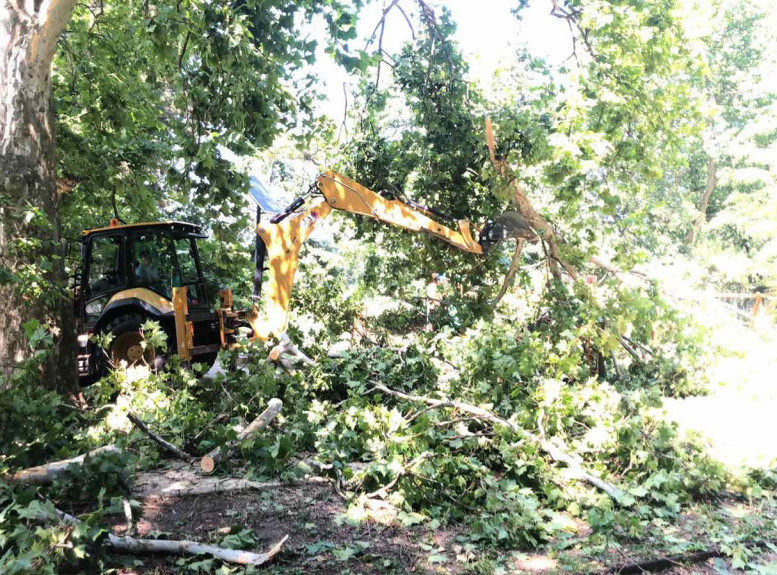 Novi Sad: Radnici Zelenila uklonili polomljeno drveće i granje sa 173 lokacije