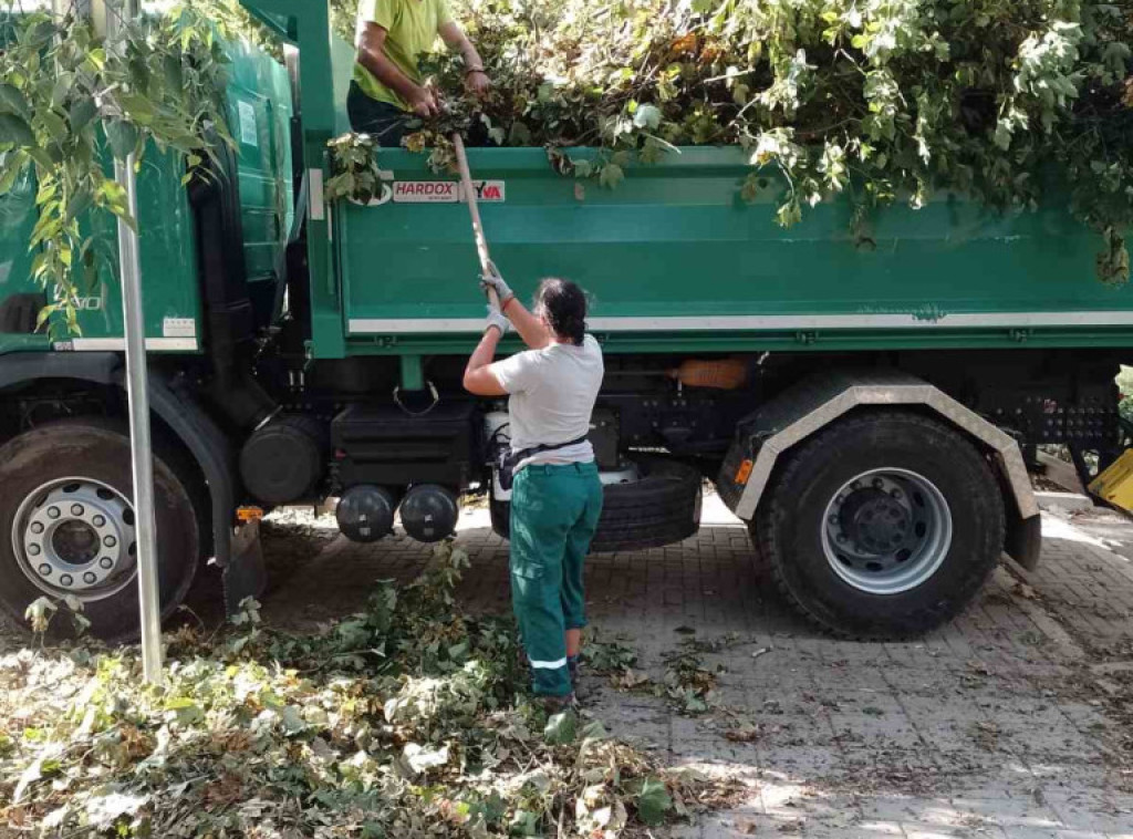 Novi Sad: "Gradsko zelenilo" nastavlja sa sanacijom štete od nevremena