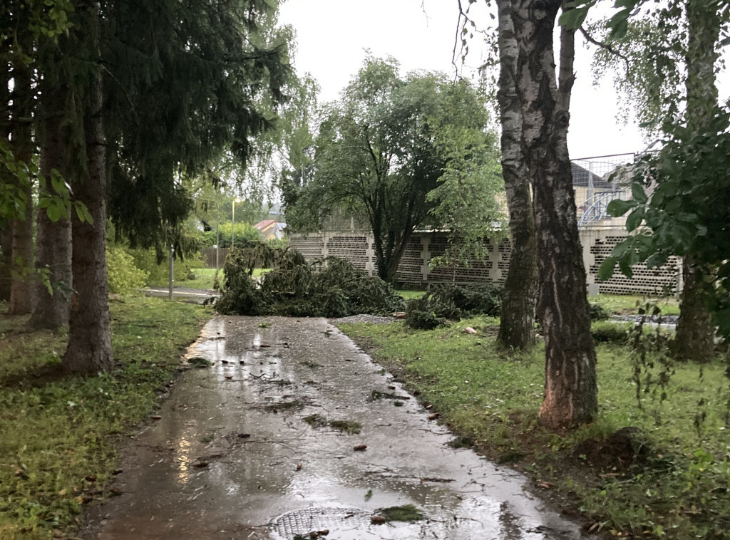 Slovenačka vlada najavila hitne mere za sanaciju štete od nevremena