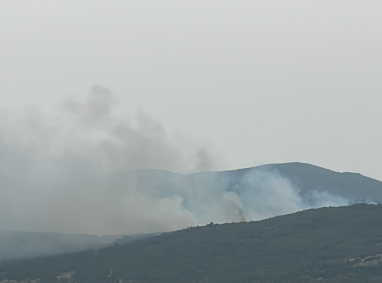Požar zahvatio borovu šumu kod Pljevalja, vojni helikopter uključen u gašenje