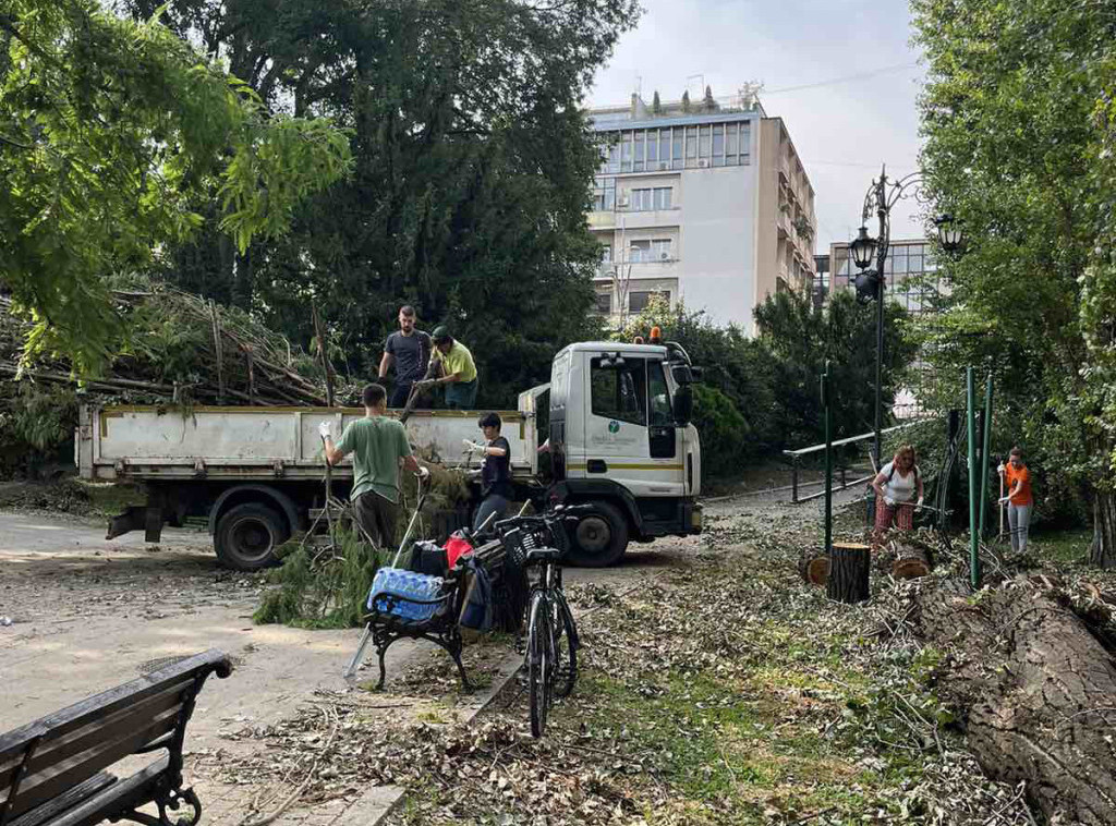 U toku su završne sanacije posledica nevremena u parkovima u Novom Sadu, "Štrand" ponovo otvoren