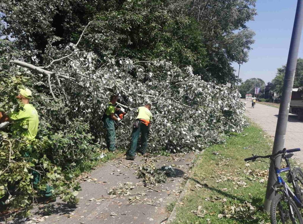 Novi Sad: "Čistoća" otklonila posledice nevremena u 176 ulica