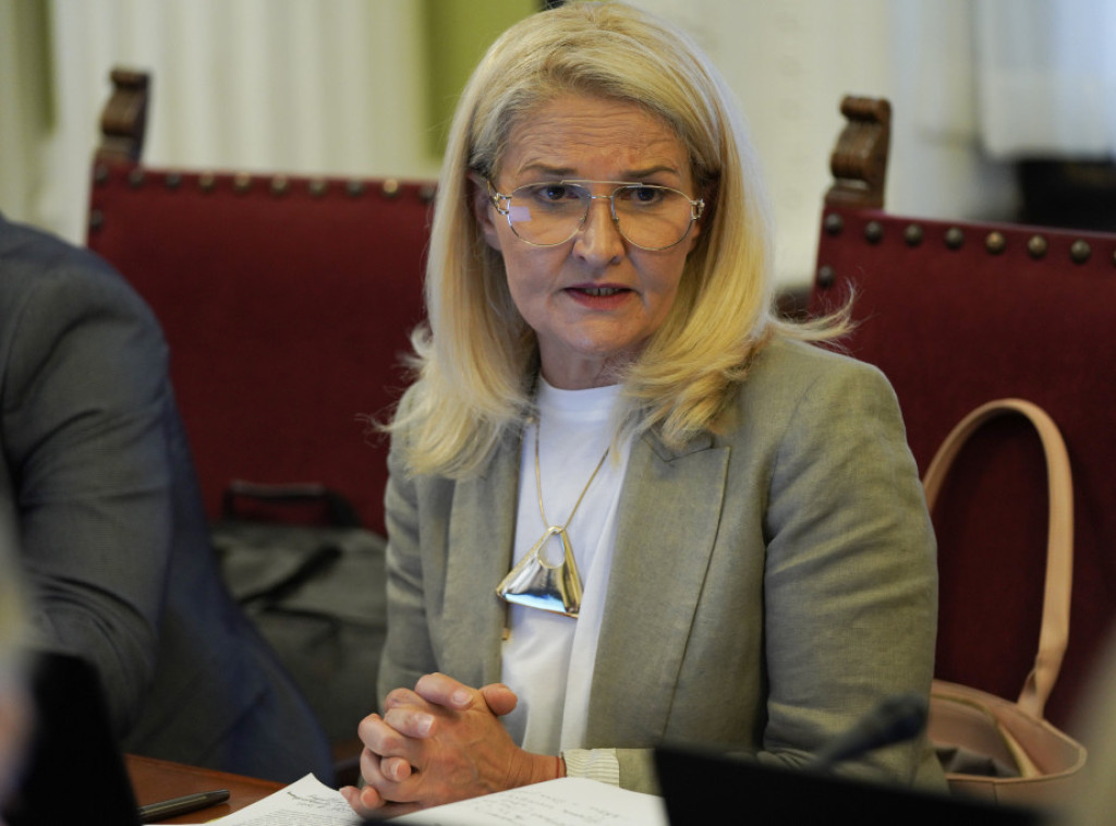 Miscevic: Serbia ready to open Cluster 3 in EU integration