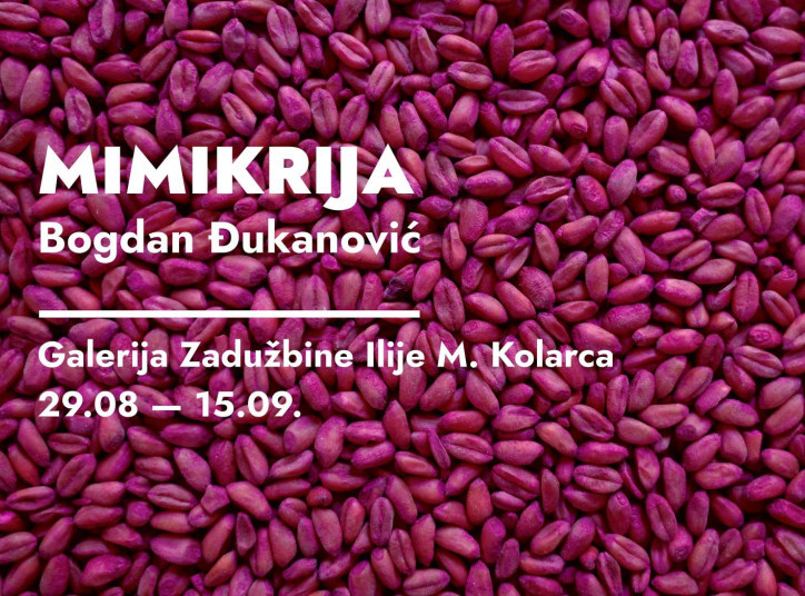 Otvorena izložba "Mimikrija" u Likovnoj galeriji Kolarca