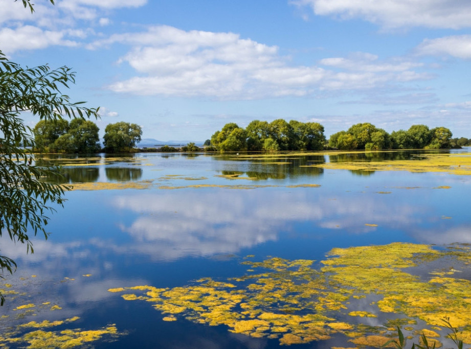 Najveće britansko slatkovodno jezero prekriveno toksičnim algama