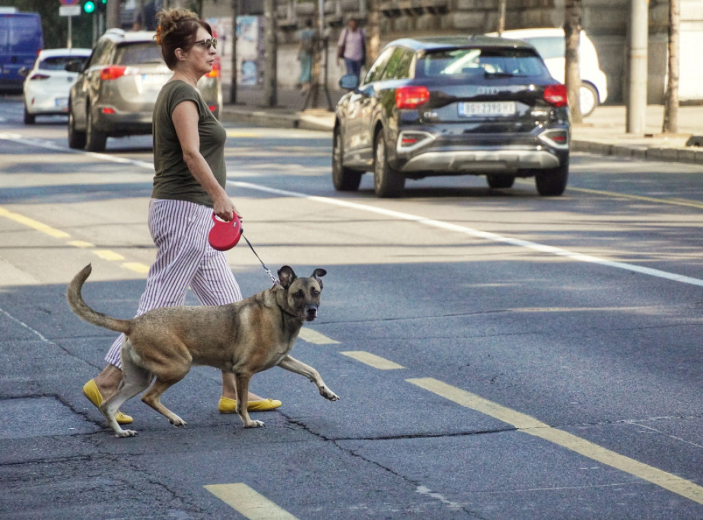 U Srbiji danas jutro hladno, tokom dana sunčano i toplo