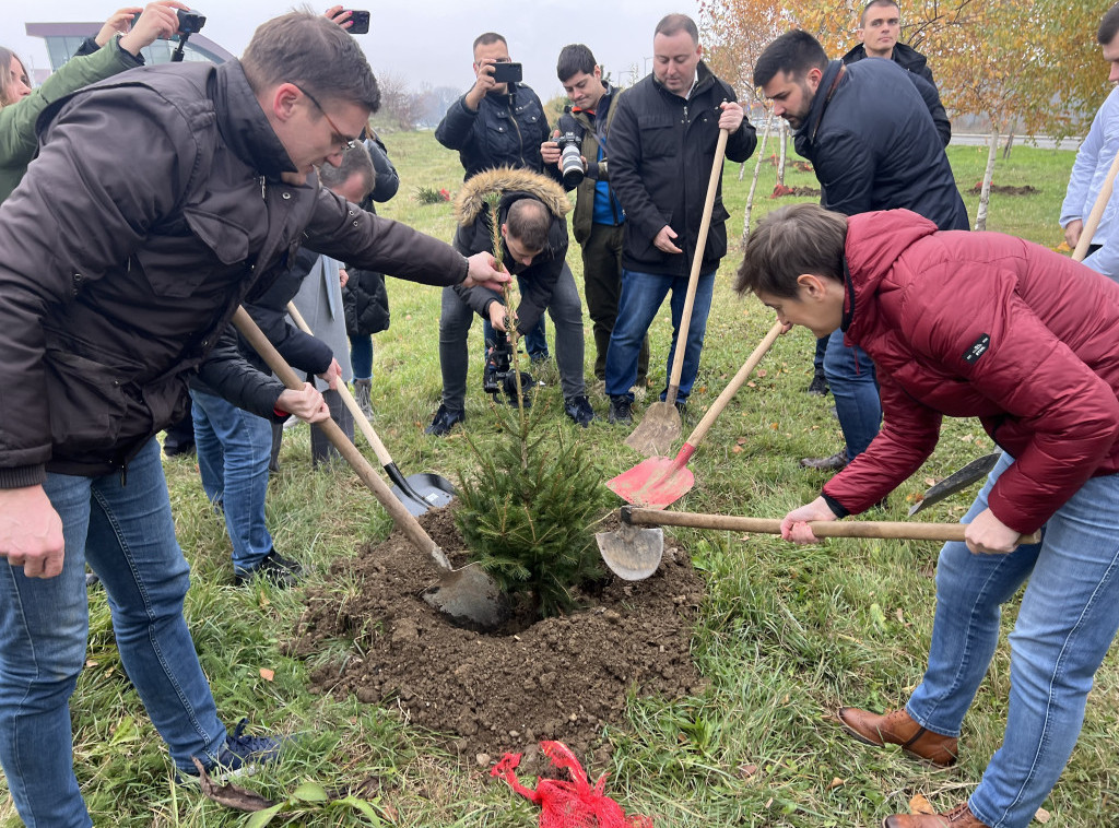 Brnabić učestvovala u akciji pošumljavanja u Obrenovcu