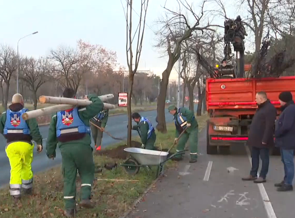 Nastavlja se akcija "Zeleni Novi Beograd"