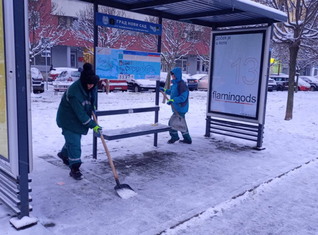 Gradsko zelenilo Novi Sad: Sto naših radnika čisti sneg sa pešačkih površina