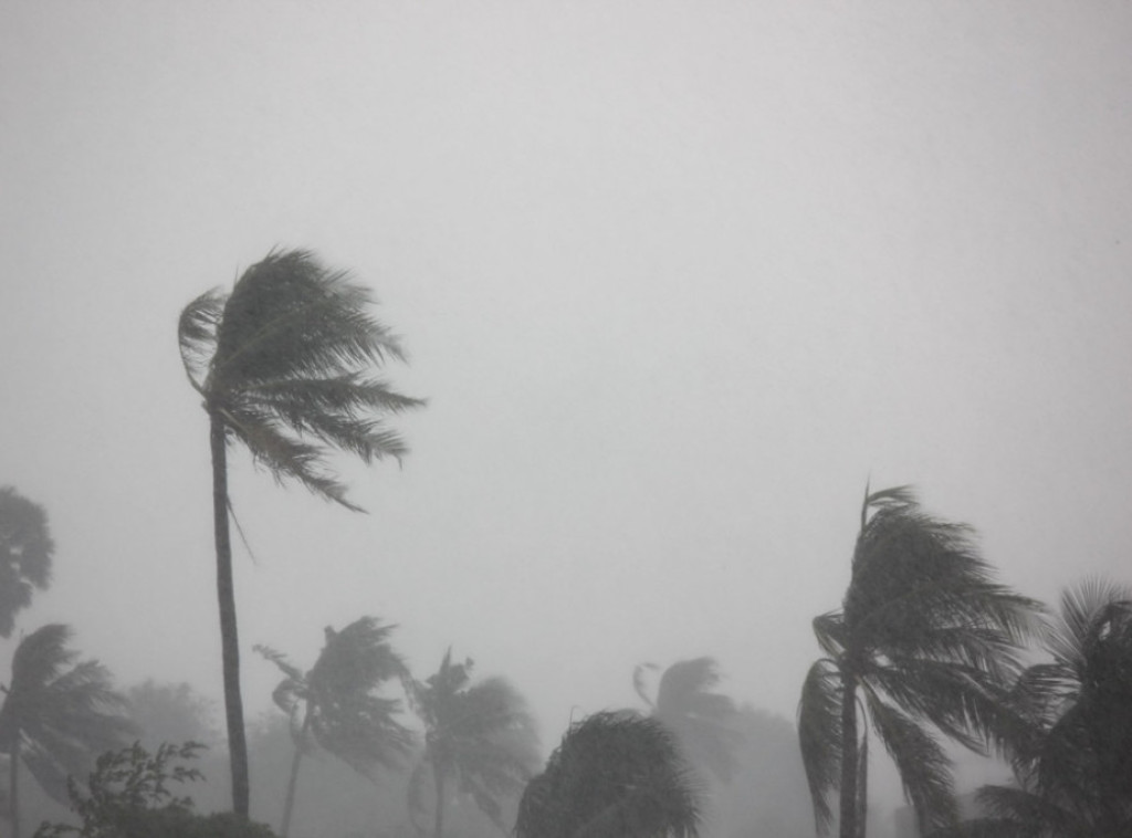 Olujno nevreme pogodilo Trebinje, vetar rušio stabla, veća materijalna šteta