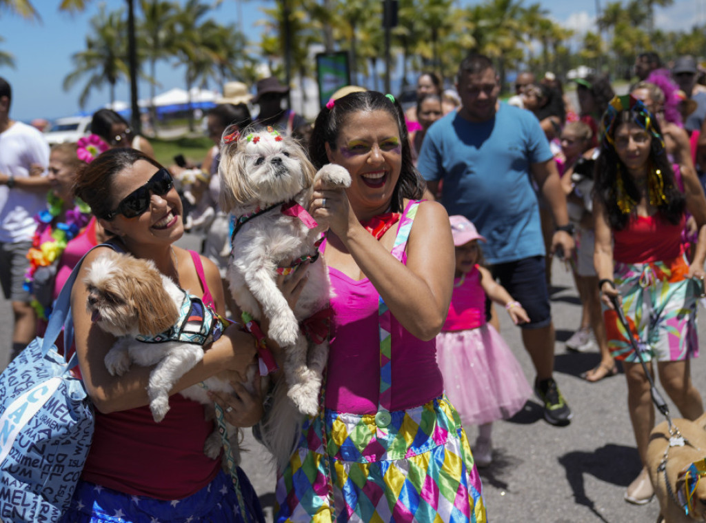 Psi u kostimima obeležili drugi dan karenvala u Rio de Žaneiru