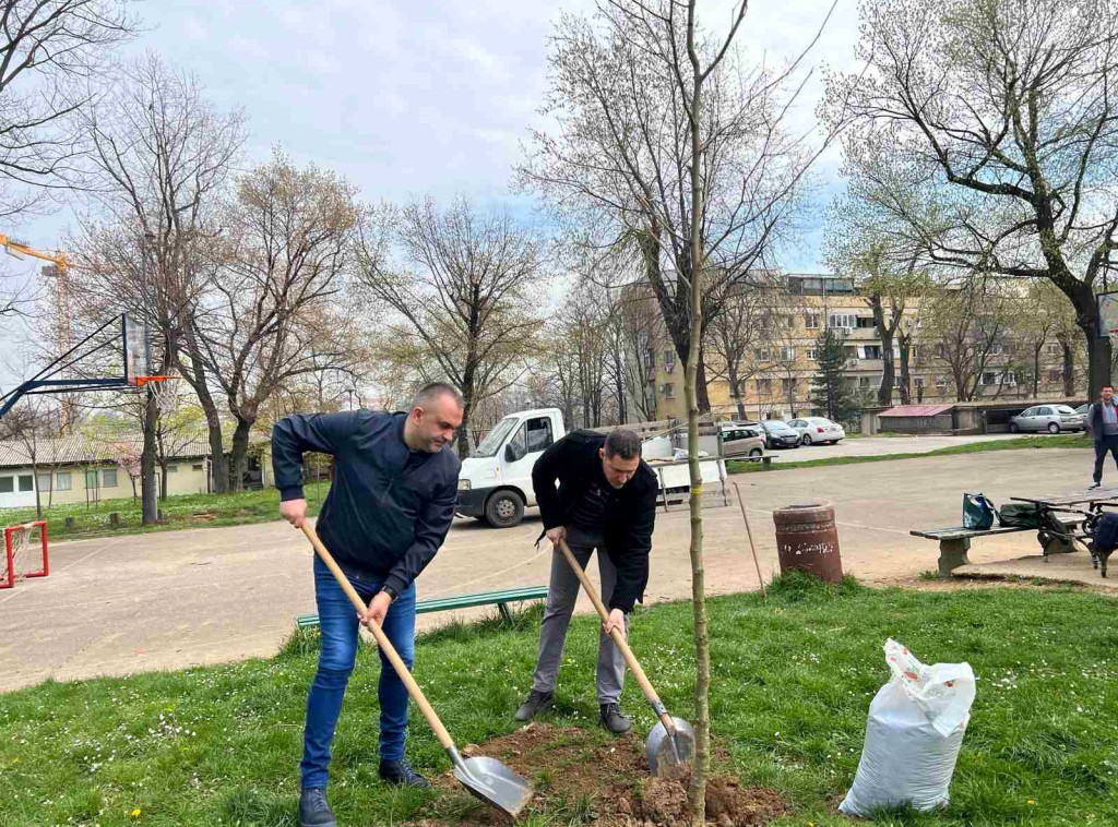 Predsednik Gradske opštine Savski venac sadnjom platana obeležio Svetski dan šuma