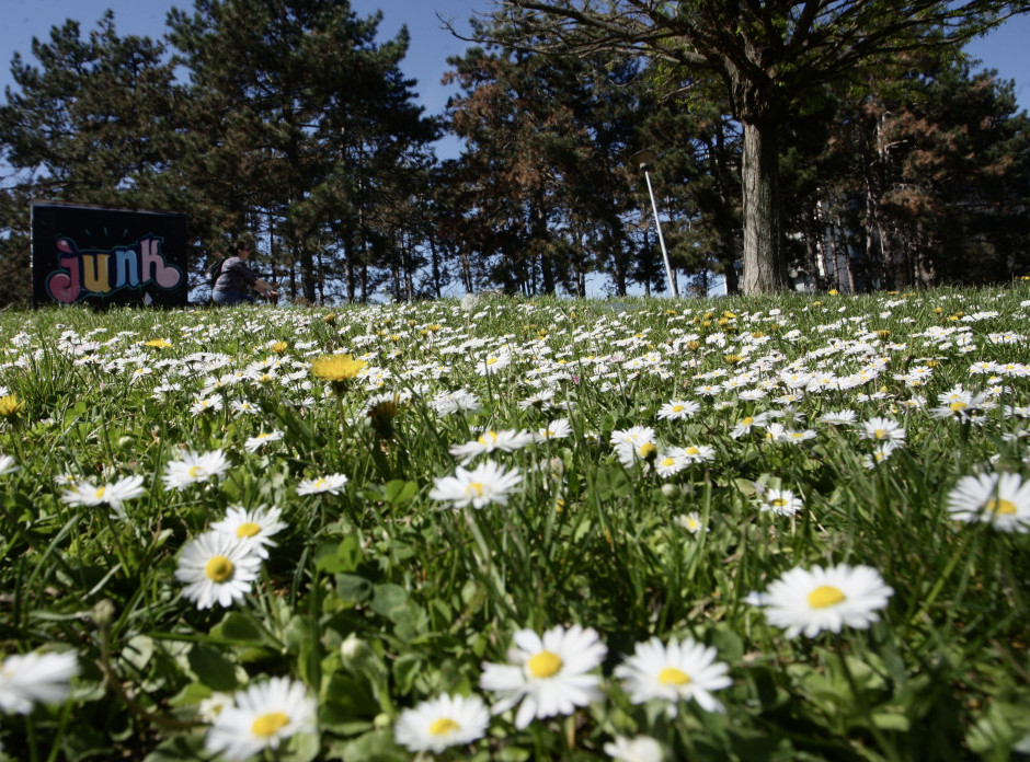 U Srbiji danas sunčano i toplo, temperature do 33 stepena