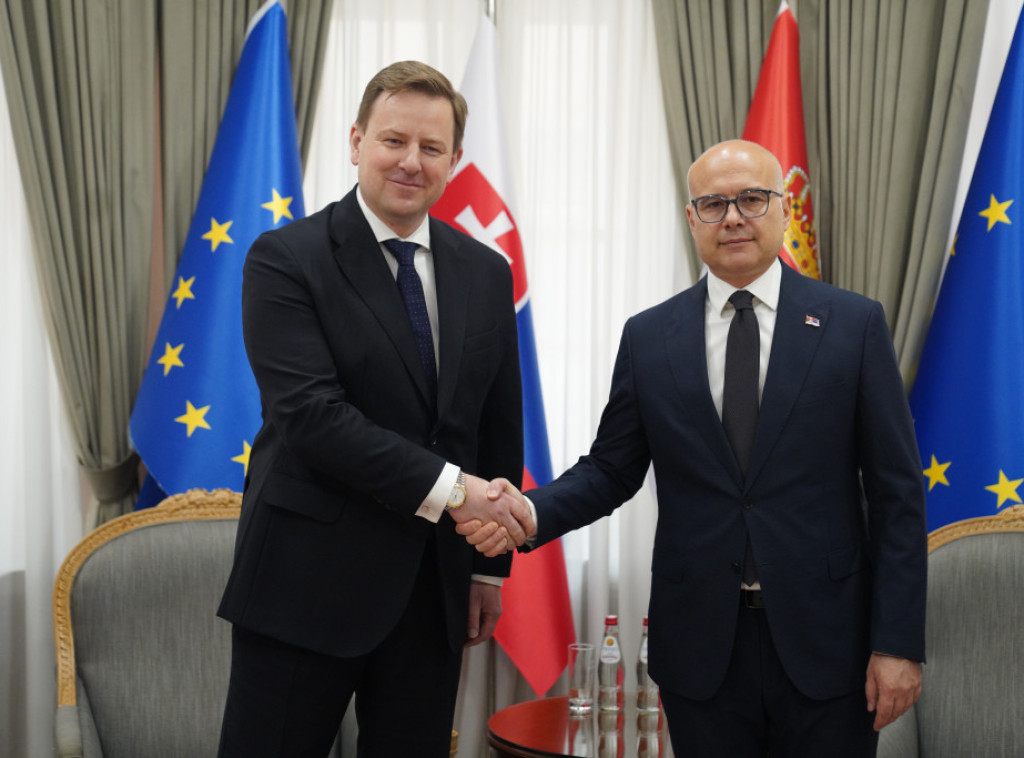 Vučević se sastsao sa ambasadorom Slovačke, razgovarali o nastavku bilateralnih odnosa