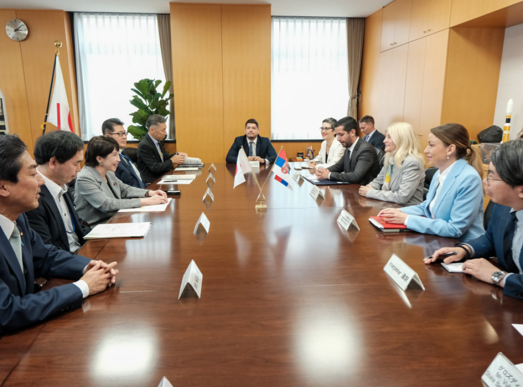 Mesarovic meets with Japan's state minister for economic security