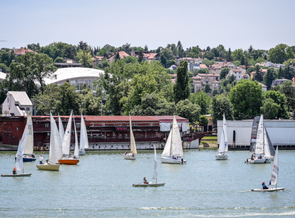 Počela Međunarodna regata "Vode Vojvodine", isplovilo 250 regataša