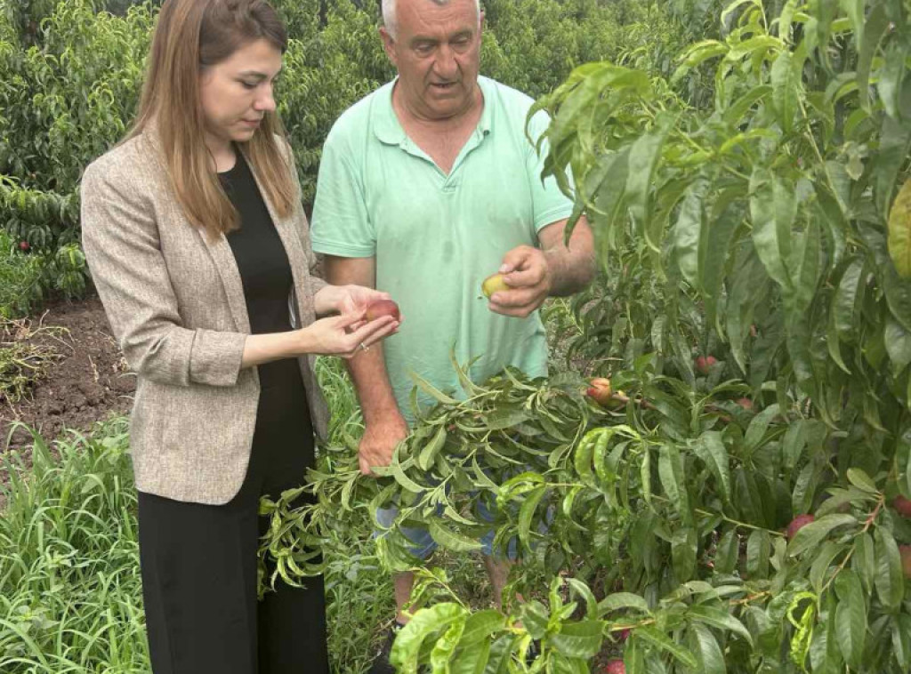 Državna sekretarka u Ministarstvu poljoprivrede obišla Topolu nakon nepogoda