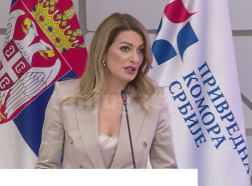 Matić: U Srbiji od ukupnog broja preduzetnika 34 odsto su žene