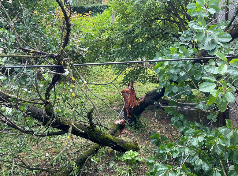 Olujno nevreme pogodilo Sloveniju i Hrvatsku: Vetar rušio stabla, grad lomio vetrobrane